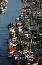 Bateaux de pêche dans le port du Collet. © Philip Plisson / Plisson La Trinité / AA01331 - Nos reportages photos - Vertical