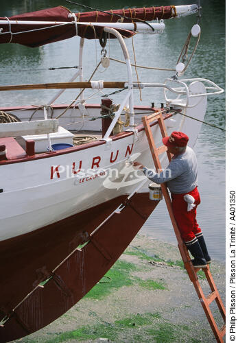 Carènage au Croisic. - © Philip Plisson / Plisson La Trinité / AA01350 - Photo Galleries - Shipyards