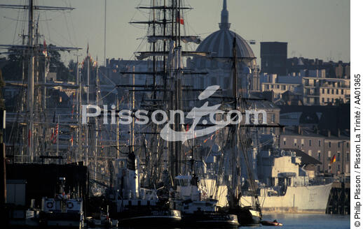 Port de Nantes. - © Philip Plisson / Plisson La Trinité / AA01365 - Nos reportages photos - Port