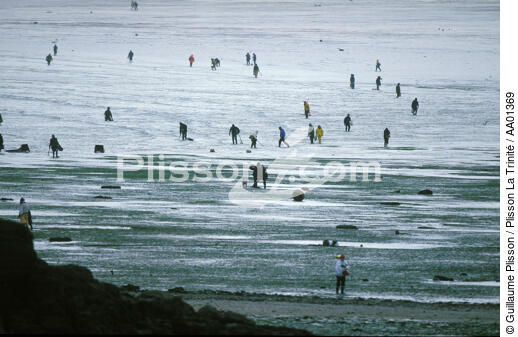 Pêche à pied à Saint-Malo. - © Guillaume Plisson / Plisson La Trinité / AA01369 - Photo Galleries - Low tide