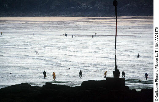 Pêcheurs à pied à Saint-Malo. - © Guillaume Plisson / Plisson La Trinité / AA01370 - Nos reportages photos - Type de pêche