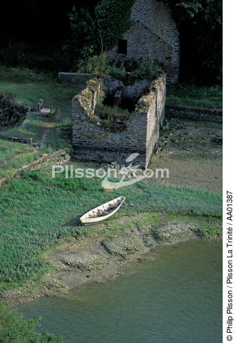 Ruines au bord de la Rance. - © Philip Plisson / Plisson La Trinité / AA01387 - Nos reportages photos - Rivière
