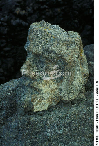 Gros plan sur un personnage de Rothéneuf, sculpté dans la roche. - © Philip Plisson / Plisson La Trinité / AA01415 - Nos reportages photos - Ville [35]