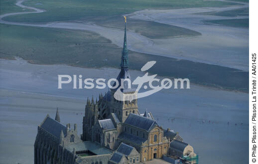 Gros plan du Mont-Saint-Michel. - © Philip Plisson / Plisson La Trinité / AA01425 - Nos reportages photos - Marée basse