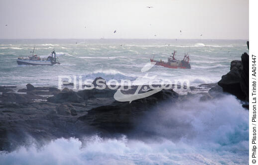 Retour de pêche par gros temps. - © Philip Plisson / Plisson La Trinité / AA01447 - Photo Galleries - Fishing vessel