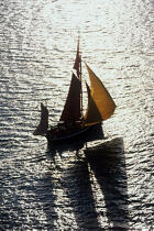 Le Rose-Anne, pilote de Bristol. © Philip Plisson / Plisson La Trinité / AA01469 - Photo Galleries - Traditional sailing