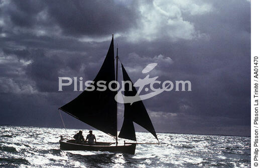 Un cotre en mer. - © Philip Plisson / Plisson La Trinité / AA01470 - Photo Galleries - Cloud