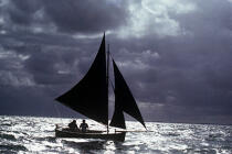 Un cotre en mer. © Philip Plisson / Plisson La Trinité / AA01470 - Photo Galleries - Traditional sailing