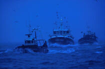 Retour de pêche. © Philip Plisson / Plisson La Trinité / AA01472 - Photo Galleries - Brittany