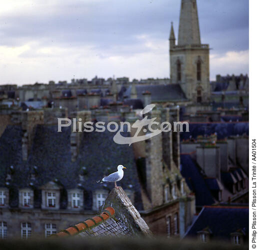 Toits et cheminées de Saint-Malo. - © Philip Plisson / Plisson La Trinité / AA01504 - Photo Galleries - Roof