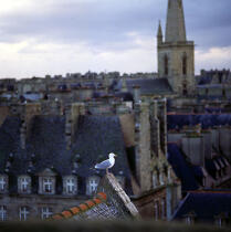Toits et cheminées de Saint-Malo. © Philip Plisson / Pêcheur d’Images / AA01504 - Photo Galleries - Square format