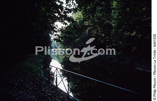 Rivière du Blavet. - © Philip Plisson / Plisson La Trinité / AA01535 - Nos reportages photos - Arbre