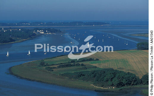 Embouchure de la Vilaine. - © Philip Plisson / Plisson La Trinité / AA01540 - Photo Galleries - River [56]