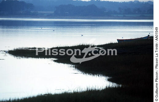 Canards sur la rivière d'Etel. - © Guillaume Plisson / Plisson La Trinité / AA01549 - Nos reportages photos - Rivière [56]