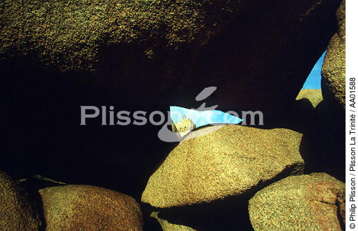 Dans les rochers près du Méan-Ruz. - © Philip Plisson / Plisson La Trinité / AA01588 - Nos reportages photos - Phare [22]