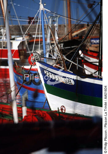 Bateau de pêche à Erquy. - © Philip Plisson / Plisson La Trinité / AA01604 - Photo Galleries - Registration