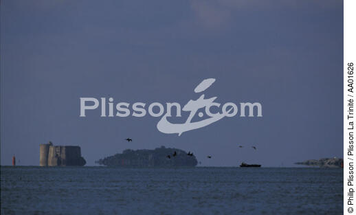 Le château du Taureau, effet de mirage sur l'eau. - © Philip Plisson / Plisson La Trinité / AA01626 - Nos reportages photos - Site [29]