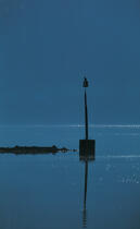 Balise sur L'Elorn. © Philip Plisson / Plisson La Trinité / AA01634 - Photo Galleries - Maritime Signals