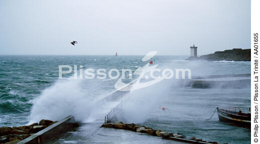 Mer agitée sur le port du conquet. - © Philip Plisson / Plisson La Trinité / AA01655 - Photo Galleries - Rough weather