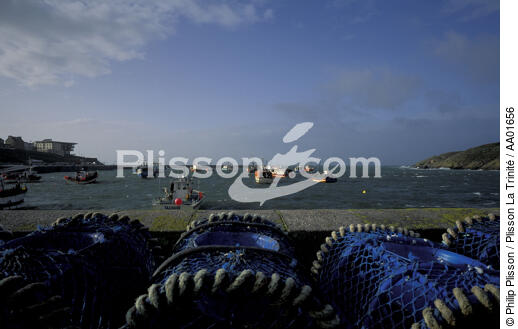 Le port du Conquet. - © Philip Plisson / Plisson La Trinité / AA01656 - Nos reportages photos - Conquet [Le]