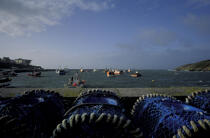 Le port du Conquet. © Philip Plisson / Plisson La Trinité / AA01656 - Nos reportages photos - Materiel de pêche