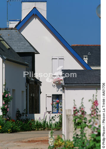 Maison fleurie de houat. - © Philip Plisson / Plisson La Trinité / AA01706 - Nos reportages photos - Fleur