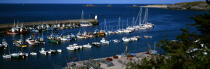 Le port de Houat. © Philip Plisson / Plisson La Trinité / AA01752 - Photo Galleries - Horizontal panoramic
