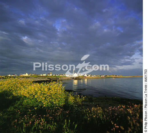Sur l'île de Sein. - © Philip Plisson / Plisson La Trinité / AA01753 - Nos reportages photos - Ciel de grain
