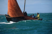 Canot à misaine. © Philip Plisson / Plisson La Trinité / AA01819 - Photo Galleries - Traditional sailing