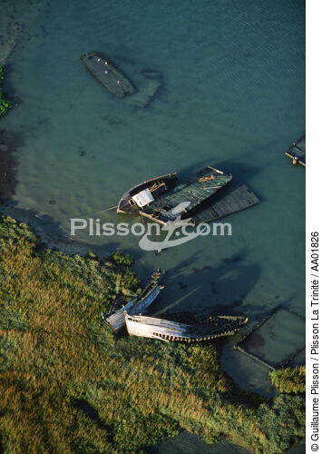 Cimetière marin. - © Guillaume Plisson / Plisson La Trinité / AA01826 - Nos reportages photos - Hydrologie