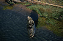 Cimetière marin au bord d'une rivière. © Philip Plisson / Plisson La Trinité / AA01827 - Photo Galleries - Boat graveyard