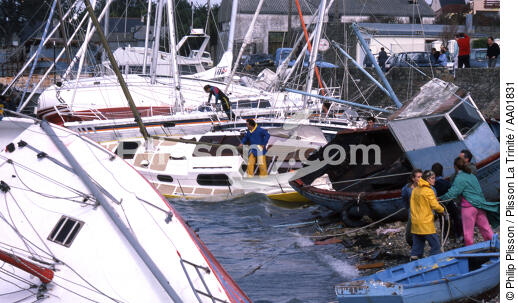 les dégats de la tempête de 1996. - © Philip Plisson / Plisson La Trinité / AA01831 - Nos reportages photos - Fortune de mer