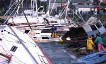 les dégats de la tempête de 1996. © Philip Plisson / Plisson La Trinité / AA01831 - Nos reportages photos - Termes divers