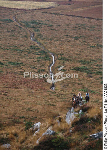 Randonnée équestre dans les Monts d'Arrée. - © Philip Plisson / Plisson La Trinité / AA01833 - Nos reportages photos - Sport et loisir