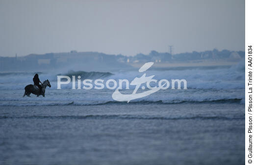 Randonnée équestre en bord de mer. - © Guillaume Plisson / Plisson La Trinité / AA01834 - Photo Galleries - Beach