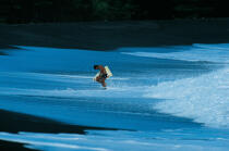 Surfeur à Tahiti. © Philip Plisson / Plisson La Trinité / AA01845 - Nos reportages photos - Sport et loisir