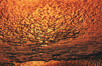 Lumière du coucher de soleil sur l'écume d'une vague. © Guillaume Plisson / Plisson La Trinité / AA01867 - Photo Galleries - Geomorphology