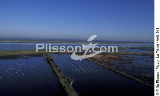 Marais sur la Loire. - © Philip Plisson / Plisson La Trinité / AA01911 - Photo Galleries - Hydrology