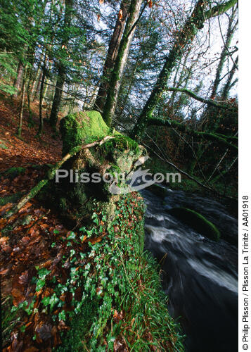 Forêt du Huelgoat dans le Finistère. - © Philip Plisson / Plisson La Trinité / AA01918 - Nos reportages photos - Huelgoat  [Forêt du]