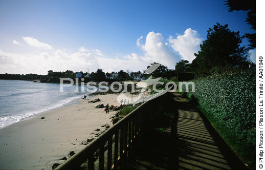 Petite plage de la Trinité. - © Philip Plisson / Plisson La Trinité / AA01949 - Photo Galleries - Trinité-sur-Mer [The]
