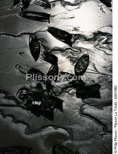Les épaves du Blavet. - © Philip Plisson / Plisson La Trinité / AA01985 - Nos reportages photos - Marée basse