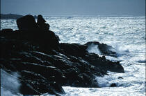 vague et rochers à la Torche. © Philip Plisson / Plisson La Trinité / AA02075 - Nos reportages photos - Lumière