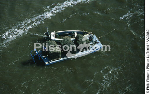 ostréiculteur en rivière d'Etel. - © Philip Plisson / Plisson La Trinité / AA02082 - Photo Galleries - Job