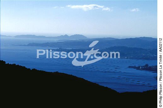 Ostréiculture en Galice. - © Philip Plisson / Plisson La Trinité / AA02112 - Nos reportages photos - Vigo
