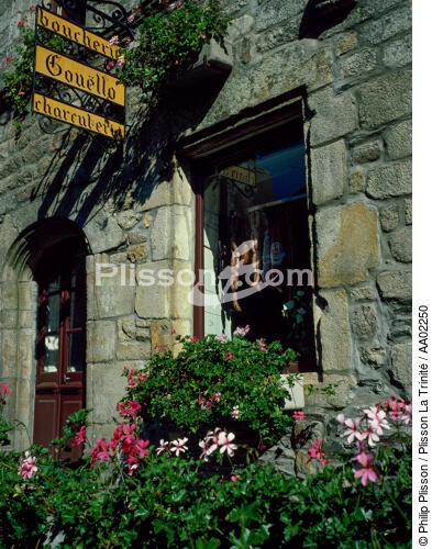 Maison à caractère médiéval à Rochefort-en-Terre. - © Philip Plisson / Plisson La Trinité / AA02250 - Photo Galleries - Details