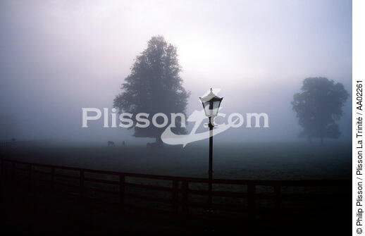 Lampadaire dans un paysage brumeux. - © Philip Plisson / Plisson La Trinité / AA02261 - Nos reportages photos - Irlande
