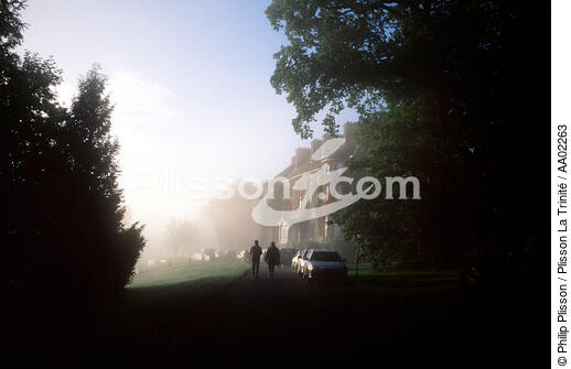 Manoir au Mount Juliet. - © Philip Plisson / Plisson La Trinité / AA02263 - Photo Galleries - Ireland