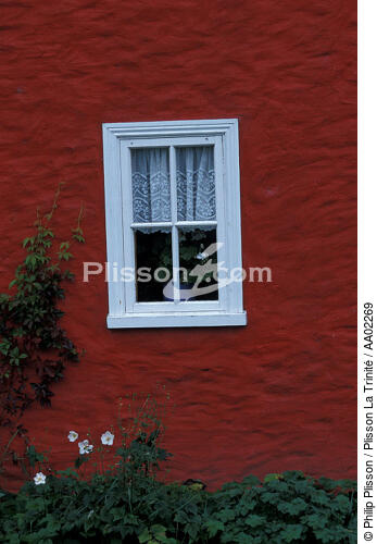 Fenêtre irlandaise. - © Philip Plisson / Plisson La Trinité / AA02269 - Nos reportages photos - Cottage