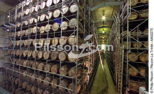 La distillerie Busmill. - © Philip Plisson / Plisson La Trinité / AA02275 - Nos reportages photos - Activité terrestre