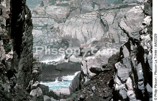 Rochers à Mizen Head. - © Philip Plisson / Plisson La Trinité / AA02329 - Photo Galleries - Foreign country